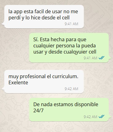 Curriculum vitae The Cv Lab
